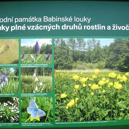 Vendégház Relax *